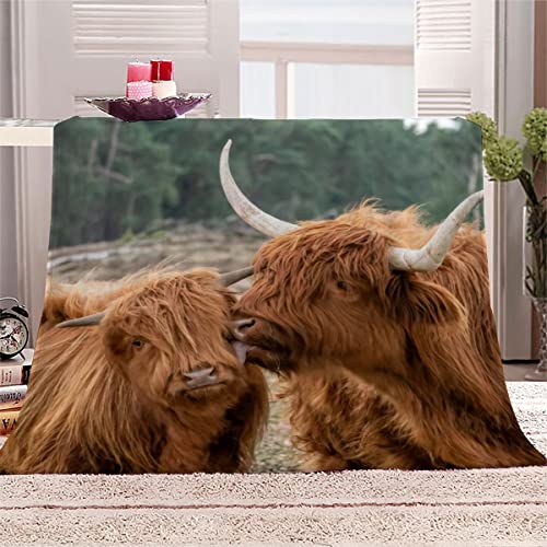 WALLDOR 3D Hochlandrinder Kuscheldecke Kinder 130x150 cm Waschbar Microfaser Flanell Decke mit Muster Weide Tiere Wohndecke Weiche Warme Fleecedecke Sommer Sofadecke Couchdecke von WALLDOR