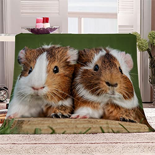 WALLDOR 3D Meerschweinchen Kuscheldecke Baby 70x100 cm Waschbar Microfaser Fleecedecke mit Muster Niedlich Tier Wohndecke Flanell Decke Weiche Warme Babydecke Flauschige Blanket von WALLDOR