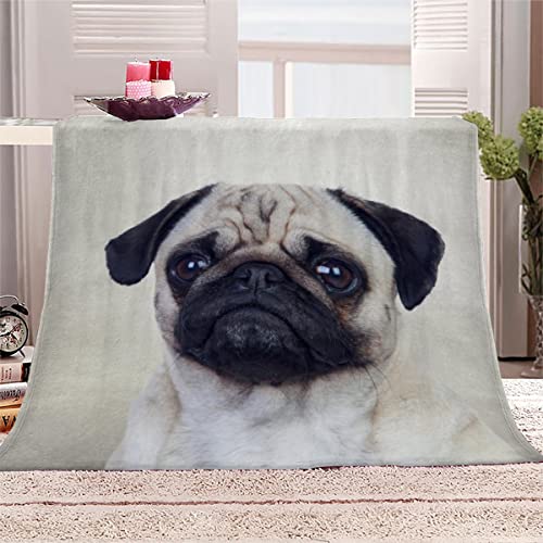 WALLDOR 3D Mops Kuscheldecke Erwachsener 150x200 cm Leichte Winter Warme TV Decke Tier Hund Wohndecke Flanell Decke Microfaser Fleecedecke Sofadecke Bettüberwurf von WALLDOR