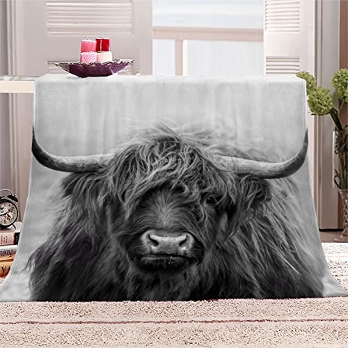 WALLDOR 3D Schottisches Hochlandrind Kuscheldecke Baby 70x100 cm Waschbar Microfaser Fleecedecke mit Muster Tier Wohndecke Flanell Decke Weiche Warme Babydecke Flauschige Blanket von WALLDOR