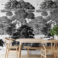 Extra Großer Schwarz-Weiß-Weinlese-Baum-Wald, Bäume Wandbild, Schwarzwald-Waldlandschaftswand-Kunst von WALLPAPERS4BEGINNERS
