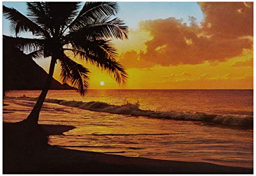 Walplus WZ00218 Wandbild Tropischer Sonnenuntergang, Vinyl, Mehrfarbig, 7,5 x 93,5 x 7,5 cm von WALPLUS
