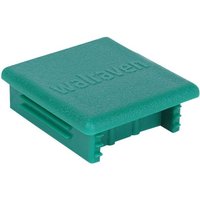 Strut Schienenendstopfen 6566041 für Strut 41x41, Polyethylen, grün - Walraven von WALRAVEN