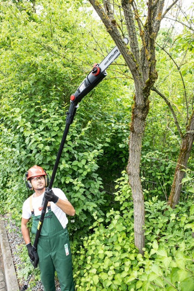 WALTER Elektro-Kettensäge Teleskop Kettensäge & Heckenschere 2in1 Elektro, 1 Stück von WALTER