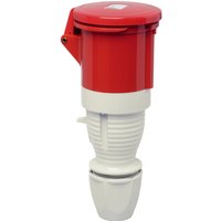 Walther Werke - 362 362 cee Kupplung 63 a 5polig 400 v 1 St. von WALTHER WERKE