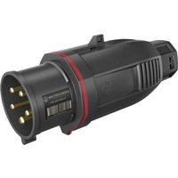 Walther Werke - FW230506CC cee Stecker 32 a 5polig 200 v, 415 v 1 St. von WALTHER WERKE