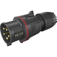 Walther Werke - FW231506CC cee Stecker 32 a 5polig 230 v, 400 v 1 St. von WALTHER WERKE