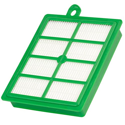 1 Hepa Filter Mikrofilter geeignet für AEG Electrolux ACSG 1300 Classic Silence Öko von WAMOS