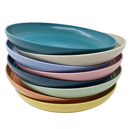 WANBY Leichte Kunststoffplatten Groß Unzerbrechlich Abendessen Wiederverwendbar Teller Platten Set Nichttoxin Geschirrspüler & Mikrowelle Safe und Gesund (25cm 8 Stück) von WANBY