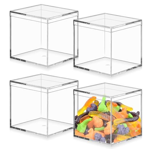 WANDGU 4 Stück Acrylbox mit Deckel: 10 x 10 x 10 cm Kleine Aufbewahrungsbox mit Deckel, Transparent Kleine Acryl Box, Aufbewahrungsbox für Schmuck, Vitrine, Aufbewahrung und Süßigkeiten Verpackung WANDGU 4 Stück Acrylbox mit Deckel: 10 x 10 x 10 cm Kleine Aufbewahrungsbox mit Deckel, Transparent Kleine Acryl Box, Aufbewahrungsbox für Schmuck, Vitrine, Aufbewahrung und Süßigkeiten Verpackung von WANDGU