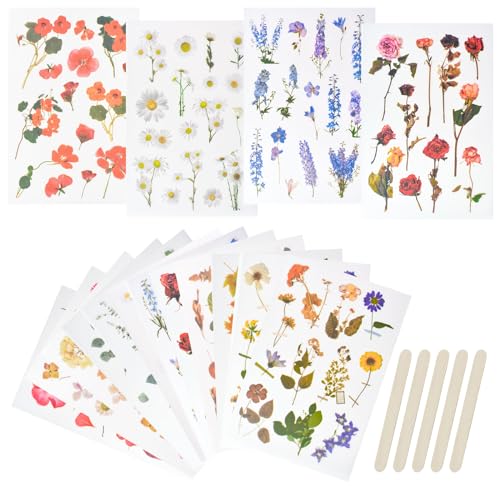 WANDIC Aufkleber-Set zum Aufreiben, 8 Stile, 16 Stück, Blumen-Aufkleber für Scrapbook, Tagebuch, Handwerk, Dekoration WANDIC Aufkleber-Set zum Aufreiben, 8 Stile, 16 Stück, Blumen-Aufkleber für Scrapbook, Tagebuch, Handwerk, Dekoration von WANDIC