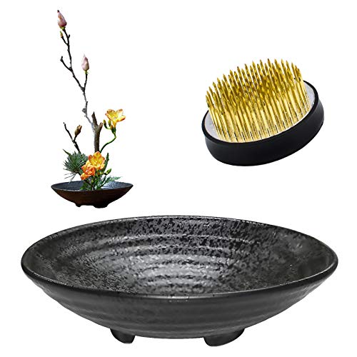 WANDIC Blumenarrangement Supplies Kreisförmige Blumen Frosch, Innen- und Außenblumen Arrangement Kunst Innendekoration Keramik Blumentopf WANDIC Blumenarrangement Supplies Kreisförmige Blumen Frosch, Innen- und Außenblumen Arrangement Kunst Innendekoration Keramik Blumentopf von WANDIC