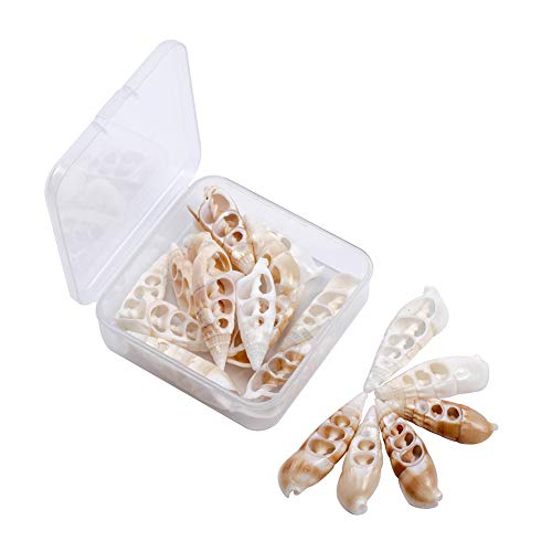 WANDIC Muscheln, Packung mit 20 Stück geschnittenen Natur-Spiral-Muscheln-Perlen für Handwerk, Schmuckherstellung, Heimtextilien, 4,2-5,5 cm von WANDIC
