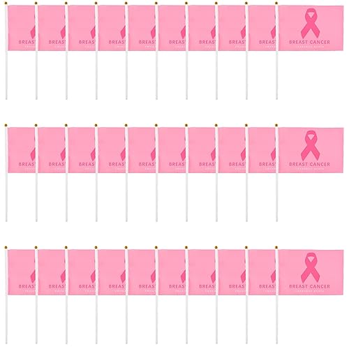 WANDIC Pink Ribbon Thema-Flaggen-Set, 30 Stück, Brustkrebs-Bewusstseins-Flaggen, Handflaggen für Party-Wohltätigkeitsorganisationen, Stil 1 von WANDIC