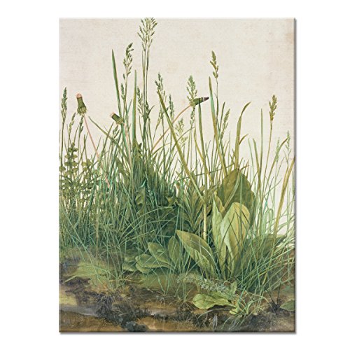 WANDKINGS Leinwandbild Das große Rasenstück von Albrecht Dürer / 60 x 80 cm/auf Keilrahmen WANDKINGS Leinwandbild Das große Rasenstück von Albrecht Dürer / 60 x 80 cm/auf Keilrahmen von WANDKINGS