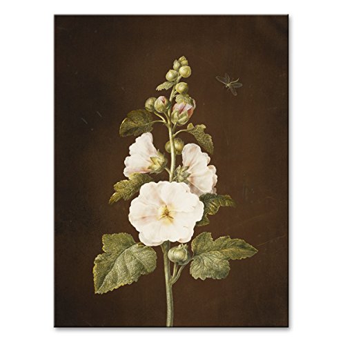 WANDKINGS Leinwandbild Stockrose von Barbara Regina Dietzsch / 30 x 40 cm/auf Keilrahmen von WANDKINGS