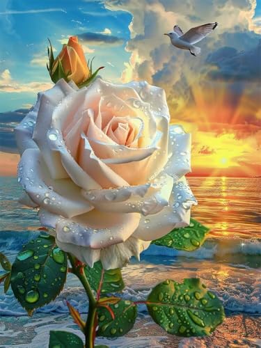 Diamond Painting Erwachsene Groß 50x70cm, 5D Diamond Painting Weiße Rose, DIY Diamant Painting Bilder Sonnenuntergang, Diamond Painting Set mit Zubehör Full Drill Dimond Painting für Home Wand Décor Diamond Painting Erwachsene Groß 50x70cm, 5D Diamond Painting Weiße Rose, DIY Diamant Painting Bilder Sonnenuntergang, Diamond Painting Set mit Zubehör Full Drill Dimond Painting für Home Wand Décor von WANGLLPGY