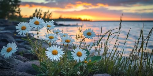 Diamond Painting Wildblumen Meer, 5D Diamond Painting Groß xxl 60x30cm, DIY Diamond Painting Set für Erwachsene, Diamant Painting Bilder Kinder Diamond-Painting für Wohnzimmer Dekoration -YZ375 Diamond Painting Wildblumen Meer, 5D Diamond Painting Groß xxl 60x30cm, DIY Diamond Painting Set für Erwachsene, Diamant Painting Bilder Kinder Diamond-Painting für Wohnzimmer Dekoration -YZ375 von WANGLLPGY