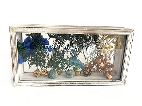 Acryl-Bilderrahmen, 26 x 13 cm, transparent, doppelseitiger Bilderrahmen, Desktop-Postkarten-Display, Gedenkfoto-Sammelrahmen, Tier- und Pflanzenherbarium-Rahmen (Shabby White) von WANLIAN