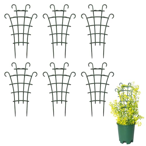 6 Stück Pflanzen Rankhilfe Zimmerpflanzen,Kletterpflanzen Rankhilfe Für Kletterpflanzen,Garten Anglebig Korrosionsbeständig Erbsen Rankhilfe Efeutute Gurken Indoor Plants Klein Für Pflanzen Bieten 6 Stück Pflanzen Rankhilfe Zimmerpflanzen,Kletterpflanzen Rankhilfe Für Kletterpflanzen,Garten Anglebig Korrosionsbeständig Erbsen Rankhilfe Efeutute Gurken Indoor Plants Klein Für Pflanzen Bieten von WANTUSHUI