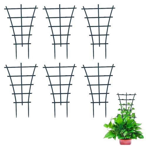 6 Stück Pflanzen Rankhilfe Zimmerpflanzen,Kletterpflanzen Rankhilfe für Kletterpflanzen,Wiederverwendbare Garten Anglebig Korrosionsbeständig Erbsen Rankhilfe Efeutute Gurken Indoor Plants Klein 6 Stück Pflanzen Rankhilfe Zimmerpflanzen,Kletterpflanzen Rankhilfe für Kletterpflanzen,Wiederverwendbare Garten Anglebig Korrosionsbeständig Erbsen Rankhilfe Efeutute Gurken Indoor Plants Klein von WANTUSHUI