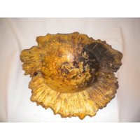 Buck Eye Burl Handgemachte Schale Live Edge Oraganic Boho Home Decor von WARDSMITHHOME