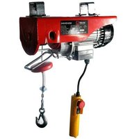 Profi Hebezug warrior 125/250kg 230V Seilzug Seilwinde Hebezeug Kran von WARRIOR WINCHES