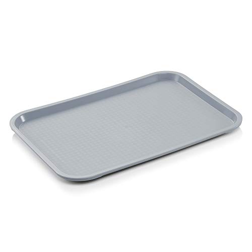 WAS 9220 415 Serie 9220 Polypropylen Tablett, 41.5 cm x 31,0 cm, Hellgrau von WAS Germany