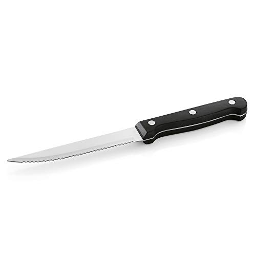 WAS IST WAS 6500 000 Chromstahl Steak/Pizzabesteck Messer mit kunststofgrif, Länge 21cm, Höhe 14cm, 1 Stück WAS IST WAS 6500 000 Chromstahl Steak/Pizzabesteck Messer mit kunststofgrif, Länge 21cm, Höhe 14cm, 1 Stück von WAS Germany