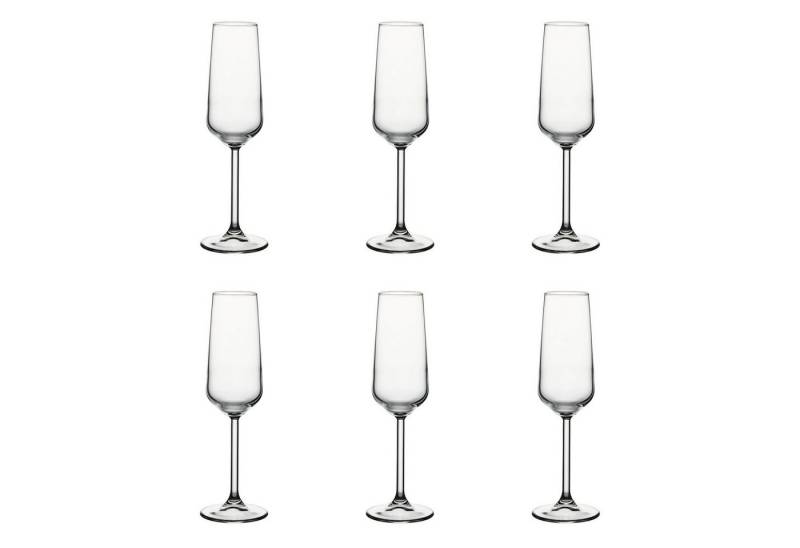 WAS Champagnerglas Champagnergläser, sektgläser 6er-Set - Allegra, 195 ml von WAS