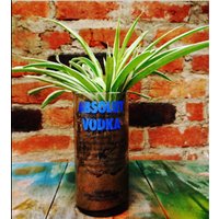 Succulent Planter Hergestellt Aus Upcycled Glasflasche - Diamond Cut Glass Pot Für Den Indoor Herb Garden Succulent Planter Hergestellt Aus Upcycled Glasflasche - Diamond Cut Glass Pot Für Den Indoor Herb Garden von WASABOTTLE