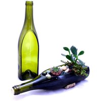 Weinflasche Succulent Kraut Pflanztopf Kaufen Sie 20 Stück Weinflasche Succulent Kraut Pflanztopf Kaufen Sie 20 Stück von WASABOTTLE