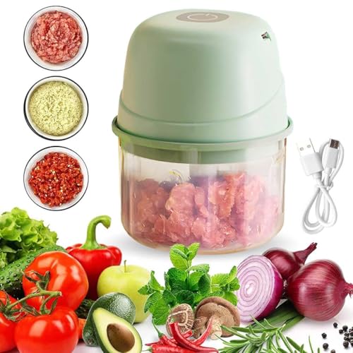 Elektrischer Lebensmittelhacker, WASAGA 300ml Mini Küchenmaschine oder Schneidemaschine für Gemüse Fleisch Obst Knoblauch Zwiebel Paprika von WASAGA