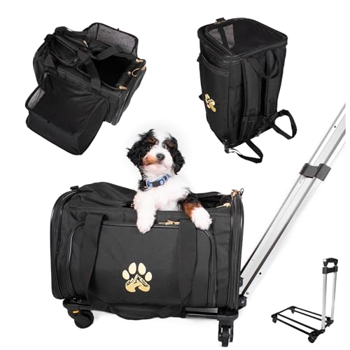 WASATCH PUP Haustier-Reisetasche mit Rädern – US-Airline-konform, stilvolle Haustier-Kinderwagen-Reisetasche für kleine Hunde und Katzen, langlebig, atmungsaktiv und erweiterbar mit robusten Rädern WASATCH PUP Haustier-Reisetasche mit Rädern – US-Airline-konform, stilvolle Haustier-Kinderwagen-Reisetasche für kleine Hunde und Katzen, langlebig, atmungsaktiv und erweiterbar mit robusten Rädern von WASATCH PUP