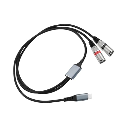 WATERBELINE Typ-C auf Doppel-XLR-Stecker, Soundkabel-Splitter für Verstärker, Mischpulte mit 32 Bit/384 kHz Chip und Geflecht-Abschirmung von WATERBELINE