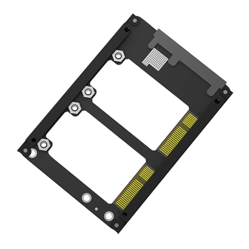 WATERBELINE Zwei Msata Laufwerke An Der 2 5-Zoll SATA3-Halterung Unterstützen Schnelle SATA3-6-Gbit/s Speicherschnittstellen Und Schnelle Datenübertragung von WATERBELINE