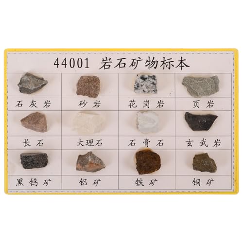 WATIIFUFU 12 Stck. Teiliges Mineralgesteinsproben Sichtbare und Vielfalt für Geologieunterricht Sammler und Feldtests Vielseitig Einsetzbar für Klassenzimmer Labor und Ausstellung von WATIIFUFU