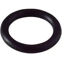 MInisirius O-Ring-Packung Nr. 16 - 19.8x3.6 - 3 Stück von WATTS