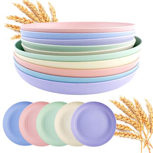 WATUNID 10 Stück Speiseteller Set, 23 25cm Unzerbrechlich Plastikteller Mehrweg Camping Teller aus Kunststoff, Leichte Abendessen Teller Picknick Geschirr Tief, Kunststoffteller für Salat, Kuchen von WATUNID