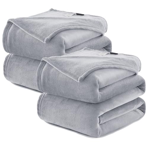 WAVVE Kuscheldecke Flauschig 2er Set Decke Fleecedecke - 2 Stücke Set Sofadecke 150x200 cm Warm Wohndecke Couchdecke, Hellgrau Decke Weich Sofaüberwurf XL von WAVVE