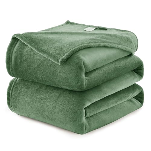 WAVVE Kuscheldecke Flauschig Decke Fleecedecke - Sofadecke Grün 220x240 cm Wohndecke Couchdecke Weich, XXL Groß Decke Sofa Leicht von WAVVE