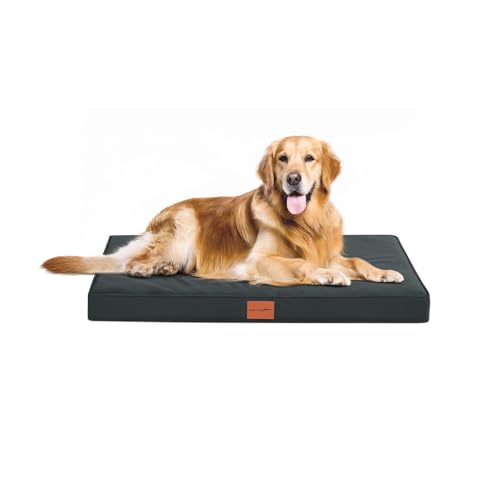 WAVVE Orthopädisches Hundebett, Hundesofa mit Eierkartonschaum für mittelgroße Hunde, 91 x 69 cm, Abnehmbare und Waschbare, rutschfeste Unterseite, Grau WAVVE Orthopädisches Hundebett, Hundesofa mit Eierkartonschaum für mittelgroße Hunde, 91 x 69 cm, Abnehmbare und Waschbare, rutschfeste Unterseite, Grau von WAVVE