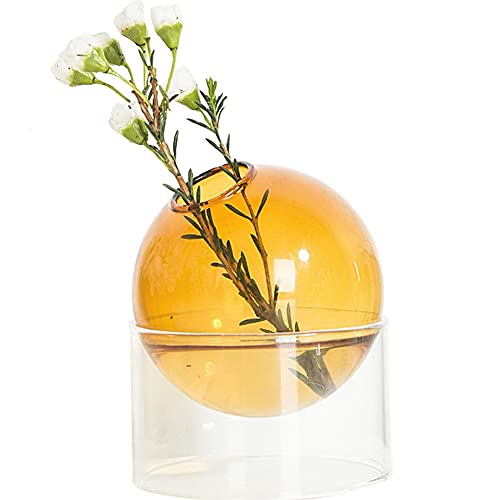 WAYUTO Klare Glasvase Drehbare Hydrokultur-Pflanzenvasen Behälter Runde Blumen Trockene Blumenknospe Vase Moderne Minimalistische Heimdekoration Tafelaufsätze Ornament für Wohnzimmer Hochzeit Gelb von WAYUTO