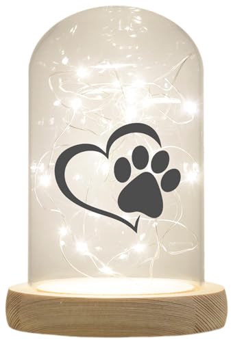 WB wohn trends LED-Glaskuppel, Tier-Pfote Katze Hund Regenbogen-Brücke, 16,5x11cm, Glasglocke mit LED-Licht und Holz-Fuß LED-Laterne LED-Lampe mit Text Spruch von WB wohn trends