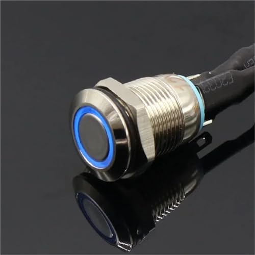 12MM Mit LED 3V 5V 12V 24V 220V Metall Taste Schalter Momentary Push Button Auto Reset Beleuchtet 1Pcs(Blue,24V) von WBCDXCBB
