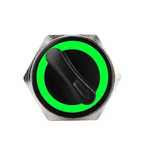 2 Position Momentary Grüne Led Selbst-rückkehr Selbst-verriegelung DPDT Selector Drehschalter 2 3 Position 1Pcs(19MM,3-6V) von WBCDXCBB