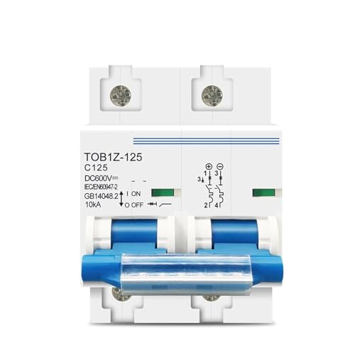2P 125A 100A 80A DC MCB 600V Circuit Breaker C Kurve Batterie Hauptschalter 1Pcs(100A) von WBCDXCBB