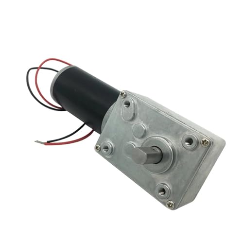 A58SW31ZYS 12 V DC Schneckenmotor Umkehrgetriebemotor Doppelwelle 1,6–70 kg.cm Reduziermotor mit hohem Drehmoment 24 V 1 Stück(10RPM_12V) von WBCDXCBB