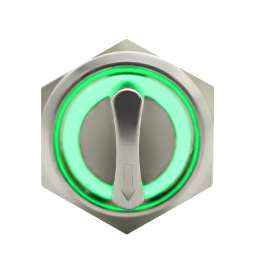 Momentary 22mm 2 3 Position Push Button Switch DPDT Beleuchteter Metall-Wahlschalter mit LED 5V 1Pcs(Green Led,2 POSITION_12-24V) von WBCDXCBB