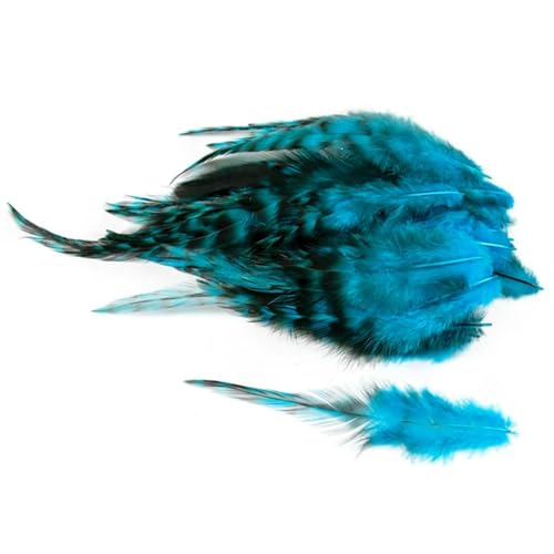 50/100 Stück Hahnenfedern 10–15 cm/4–6 Zoll zum Basteln von Ohrringen, Schmuck, Bastelzubehör-Seeblau-50 Stück 50/100 Stück Hahnenfedern 10–15 cm/4–6 Zoll zum Basteln von Ohrringen, Schmuck, Bastelzubehör-Seeblau-50 Stück von WBLSPA